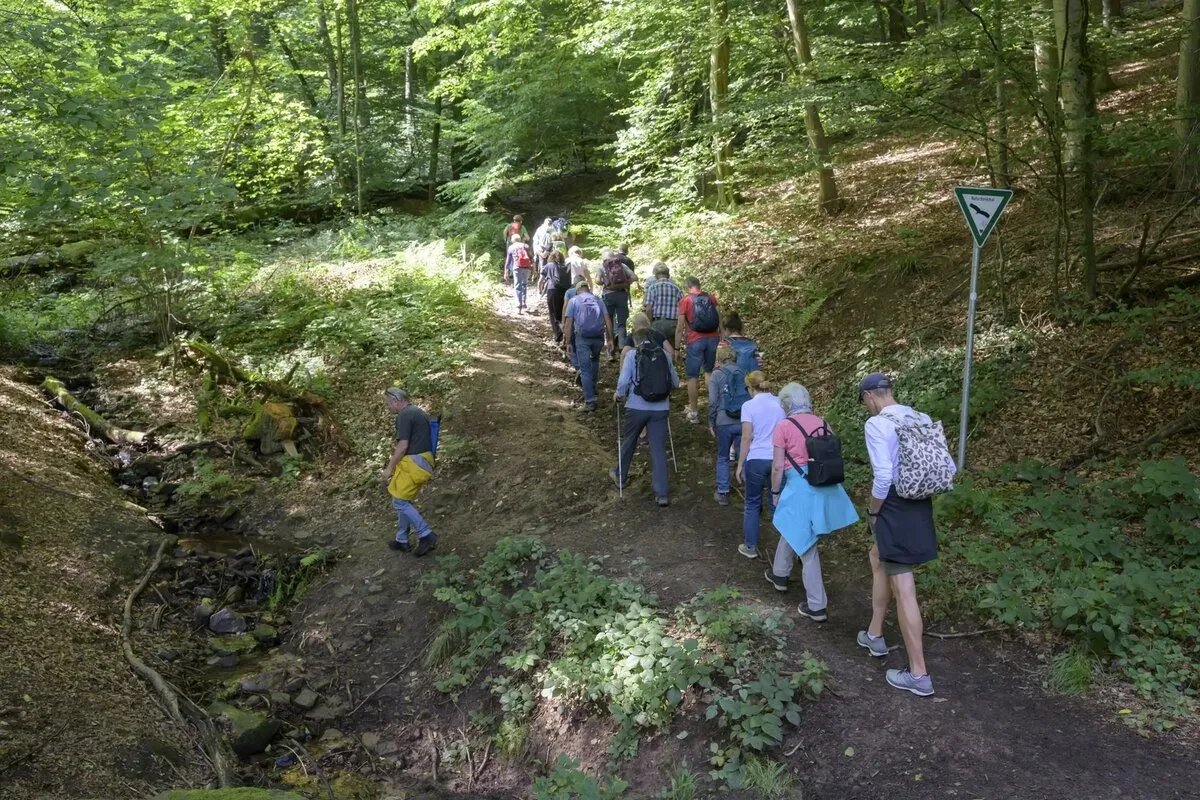 رسالة ساخرة من مُسن ألماني تُثير استنفار الشرطة وتحقيقًا رسميًا!