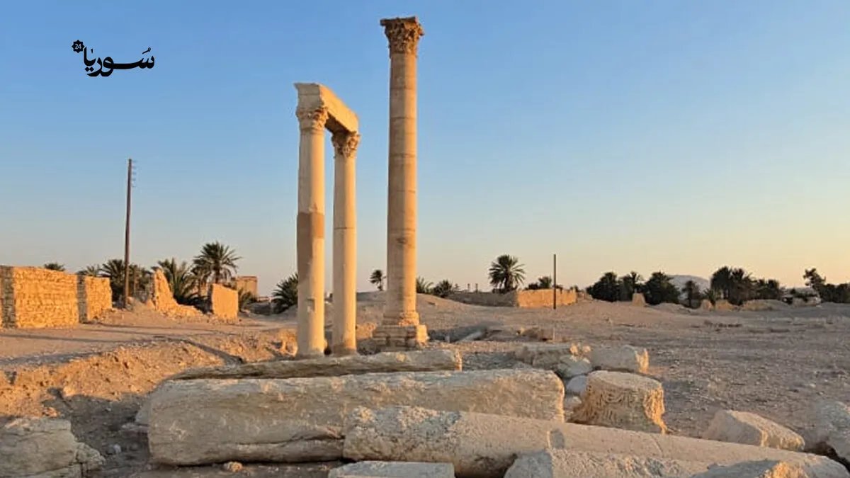 تدمر تحارب التنقيب غير المشروع عن الآثار: جهود لحماية التراث والهوية