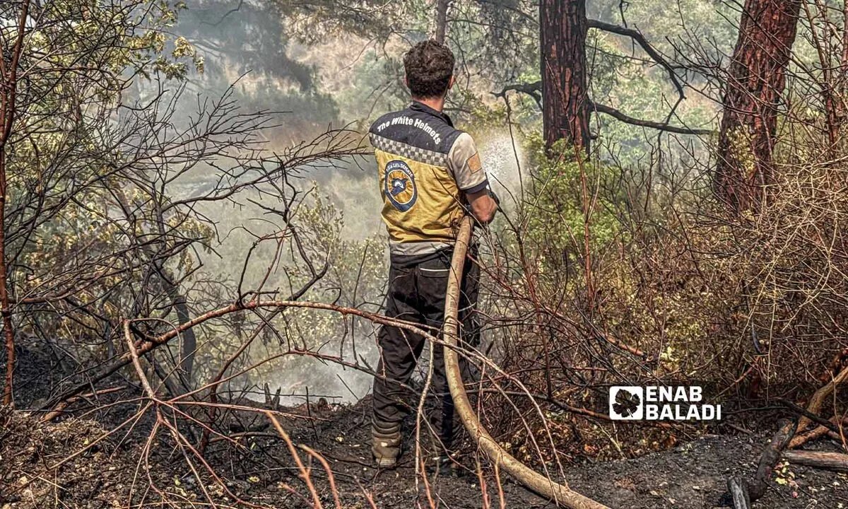 سوريا تواجه "التطرف المناخي": تحولات بيئية خطيرة تهدد مستقبل البلاد