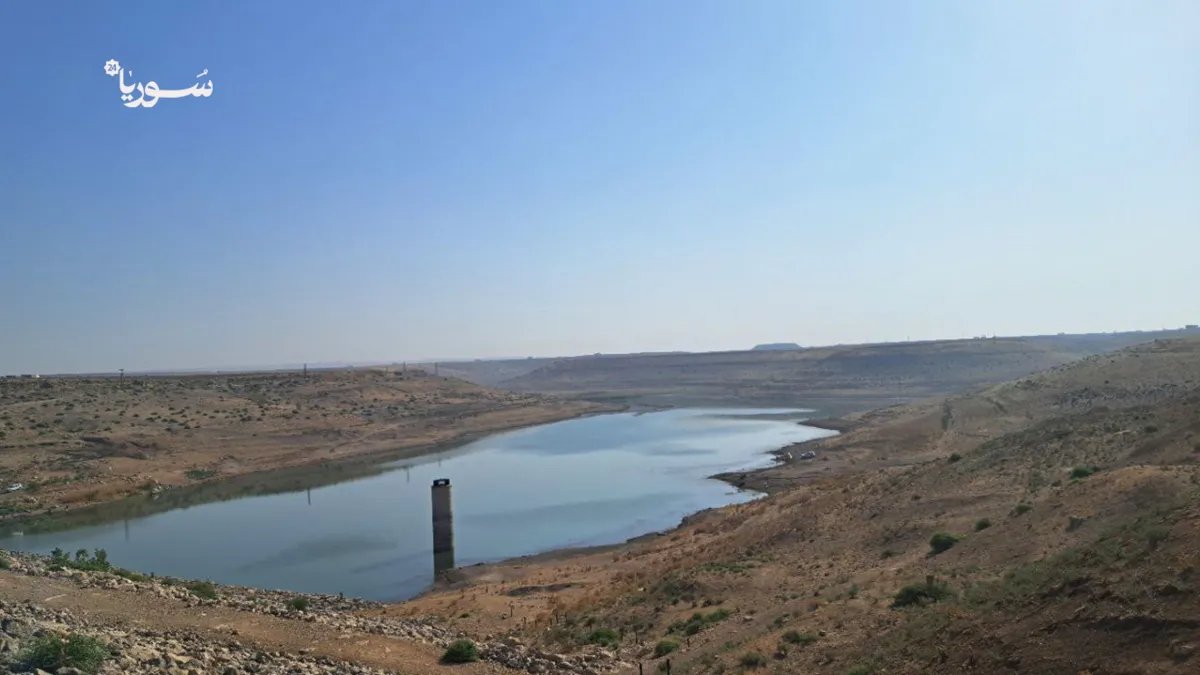 عودة الحياة إلى سهل الغاب: إعادة تأهيل سد أفاميا بعد توقف دام 14 عاماً