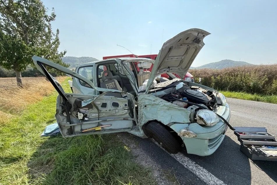 حادث مروع في ألمانيا: كلب سائبة يتسبب بإصابة سائقة وتدمير سيارتها