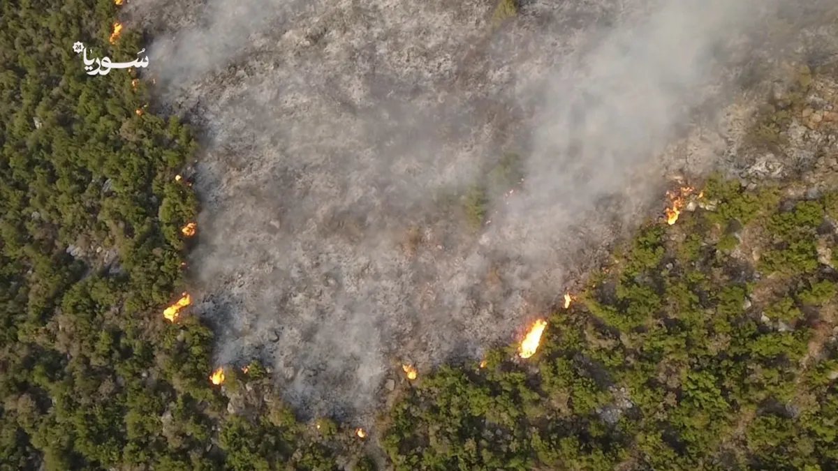 حريق سهل الغاب مستمر لليوم الثاني وفرق الإطفاء تكافح للسيطرة