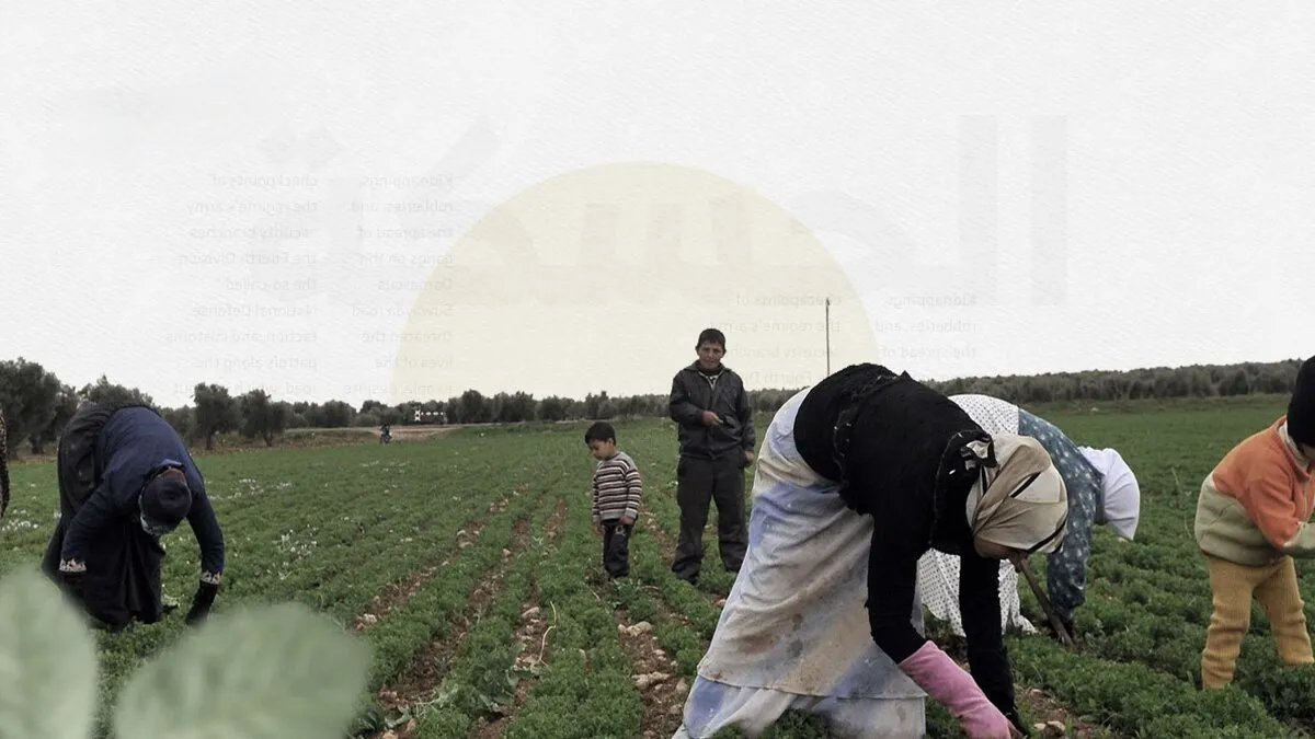 جفاف يهدد مزارع الزر والشحيل في دير الزور مع توقف محطات الري وارتفاع الحرارة