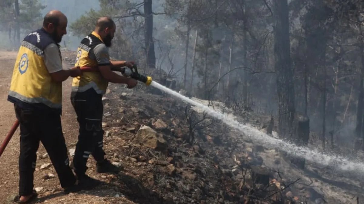 الدفاع المدني السوري يكافح حرائق واسعة في إدلب واللاذقية ويستجيب لبلاغات متعددة
