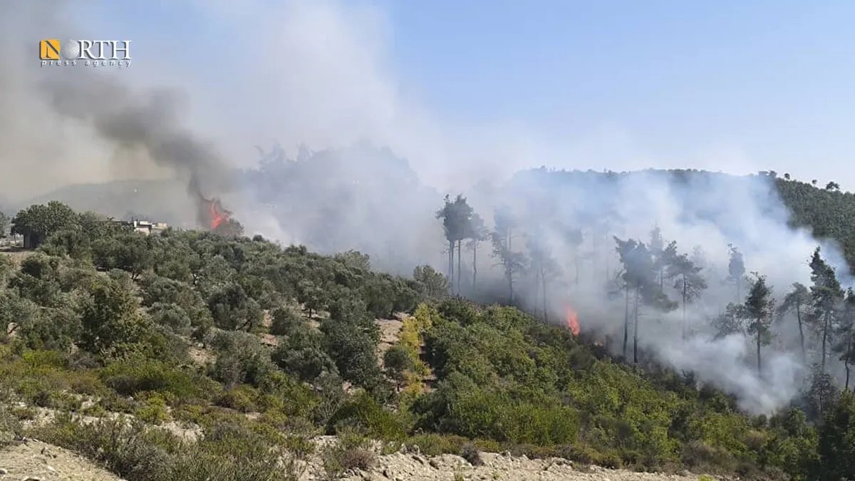 اندلاع حرائق جديدة في ريف اللاذقية والتهمت أشجاراً حراجية وزيتون