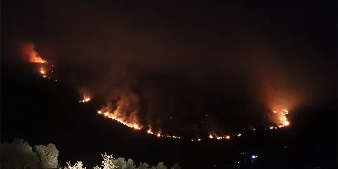 تحديات جمة تواجه فرق الإطفاء في سهل الغاب مع اتساع رقعة حرائق الغابات