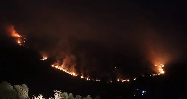 تحديات تواجه فرق الإطفاء في سهل الغاب مع امتداد حرائق الغابات