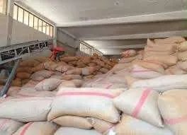 تأخر صرف مستحقات القمح يثير استياء فلاحي طرطوس ومؤسسة الحبوب تعد بحل قريب