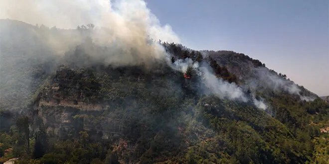 السيطرة على خمسة حرائق في اللاذقية وحماة وجهود مستمرة لإخماد البقية