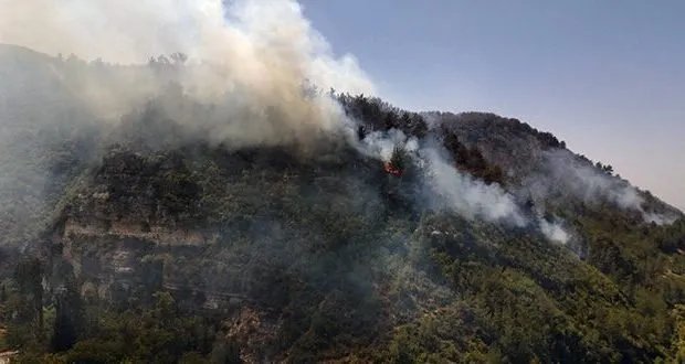 السيطرة على خمسة حرائق في اللاذقية وحماة وجهود مستمرة لإخماد البقية