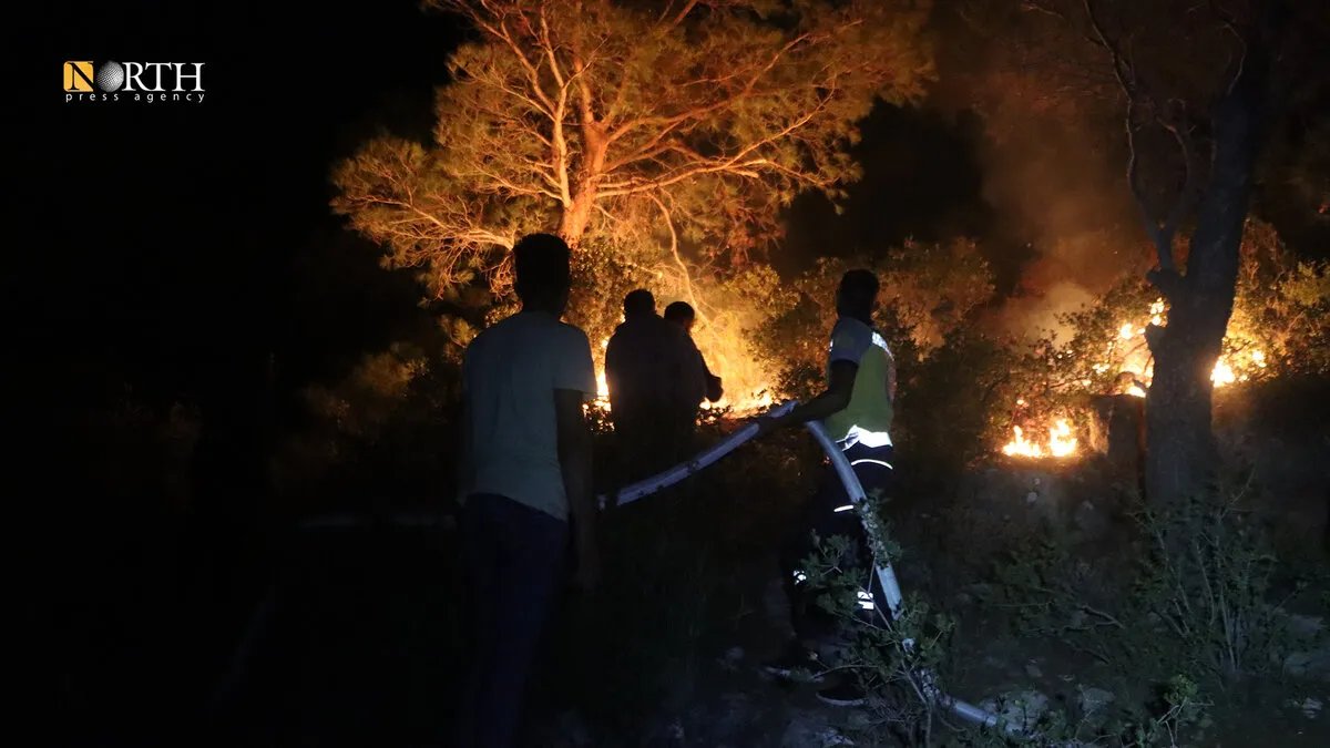 حرائق ضخمة تلتهم آلاف الهكتارات في ريفي حماة واللاذقية وتلحق أضراراً بالأشجار