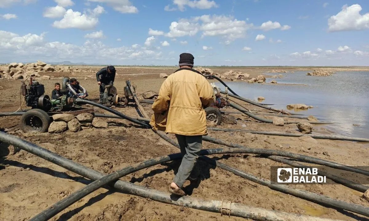 جفاف يضرب درعا: شح الأمطار يهدد محاصيل استراتيجية ومزارعون يلجأون لبيعها للمواشي