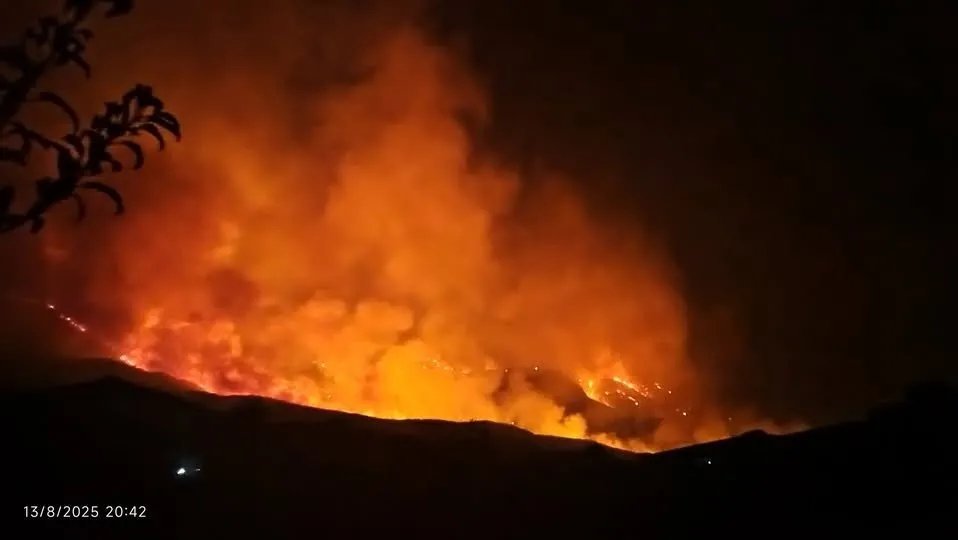 حريق ريف حماة: النيران تصل المنازل ونزوح الأهالي وجهود مكثفة لاحتواء الكارثة