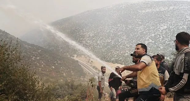 جهود مكثفة لاحتواء حرائق الغابات في أرياف حماة واللاذقية وطرطوس