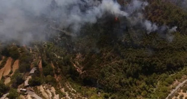 اللاذقية تحترق: فرق الإطفاء تتصدى للحرائق الهائلة في الغابات وتستنفر المحافظات