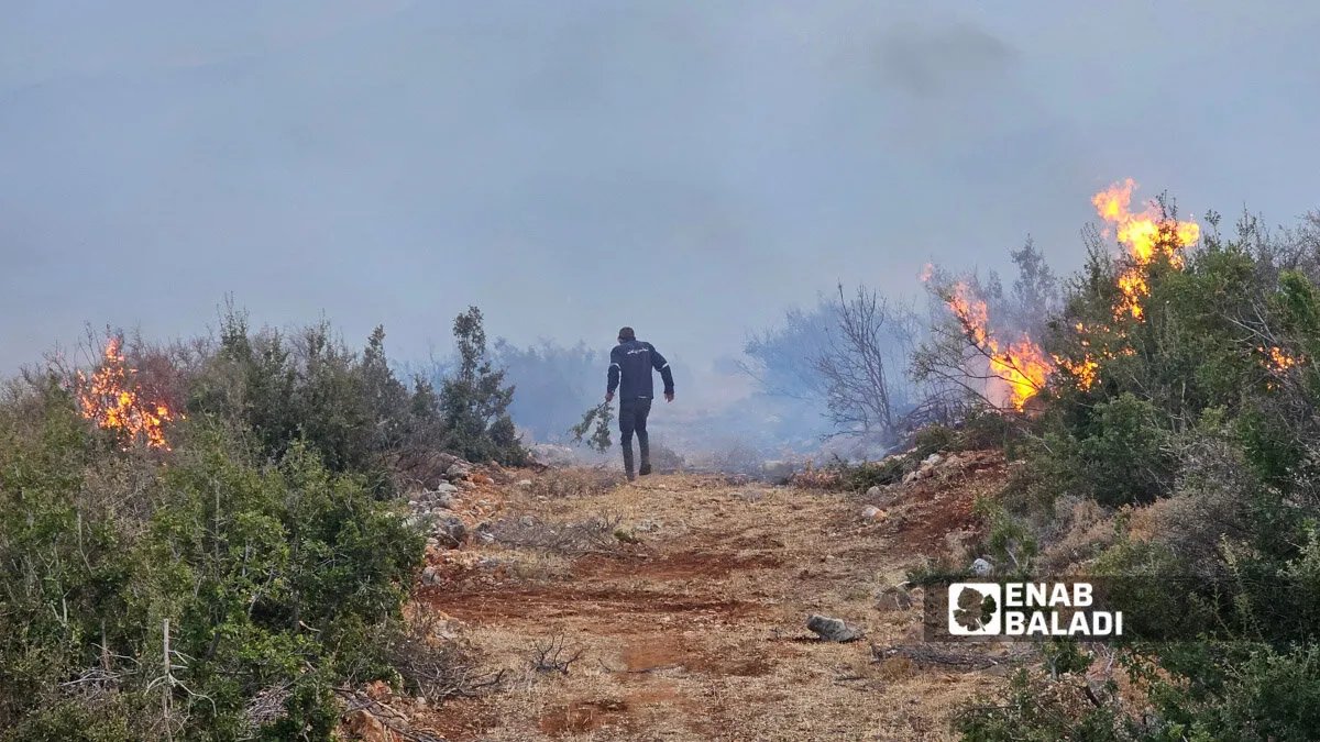 مروحيات قاعدة المزة الجوية تدعم جهود إخماد حرائق ريف حماة المتفاقمة