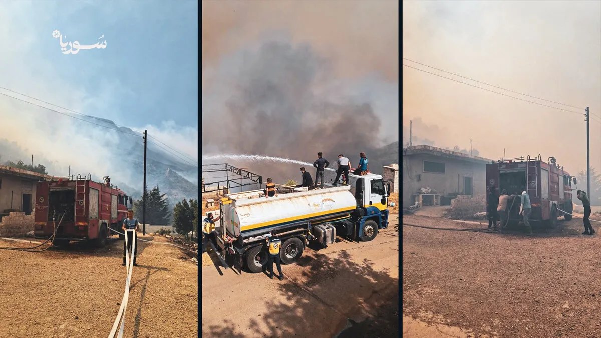 حرائق هائلة تجتاح الساحل السوري وريف حماة الغربي: جهود مكثفة لاحتواء النيران
