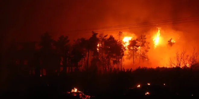 حرائق متجددة تشتعل في ريف اللاذقية والدفاع المدني يواجه صعوبات في السيطرة