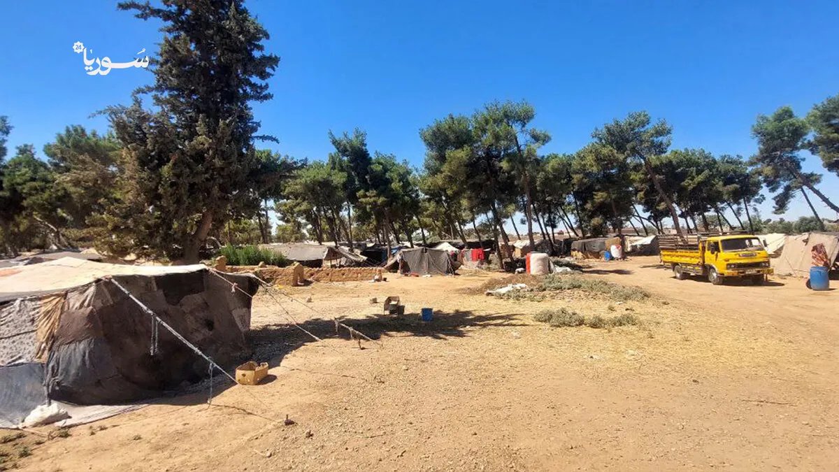 مخيم يعرب العشوائي: معاناة مستمرة لنازحي الرقة في ظل نقص المساعدات وتدهور الأوضاع المعيشية