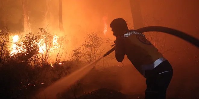 الدفاع المدني يكثف جهوده للسيطرة على حرائق اللاذقية المتجددة