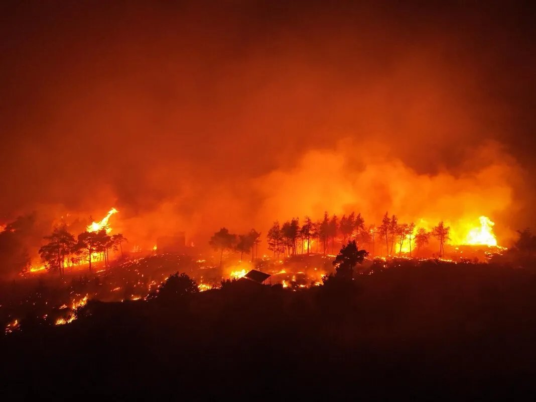 تفاقم حرائق الغابات في اللاذقية وحماة: جهود مكثفة للدفاع المدني وتحديات كبيرة تواجه فرق الإطفاء