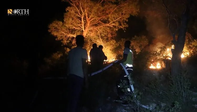 حرائق الغابات تستعر في ريفي اللاذقية وحماة والدفاع المدني يكثف جهوده للسيطرة