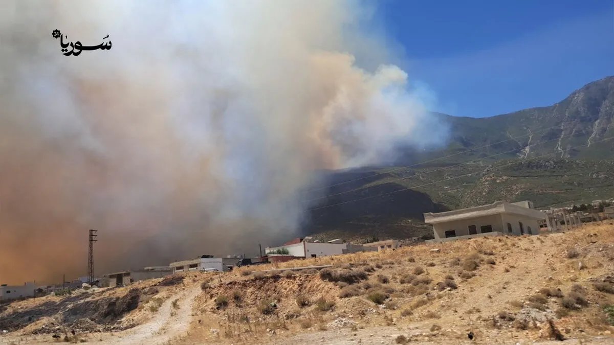 لليوم السابع على التوالي: اتساع رقعة الحرائق في ريفي حماة واللاذقية ونزوح الأهالي