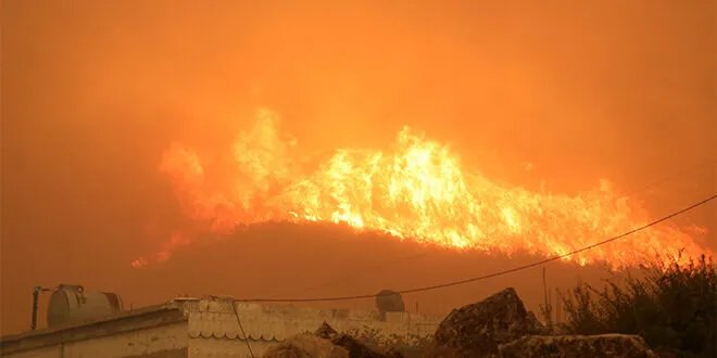 حرائق الغاب تتسع وتصل إلى المنازل في شطحة رغم جهود الإطفاء