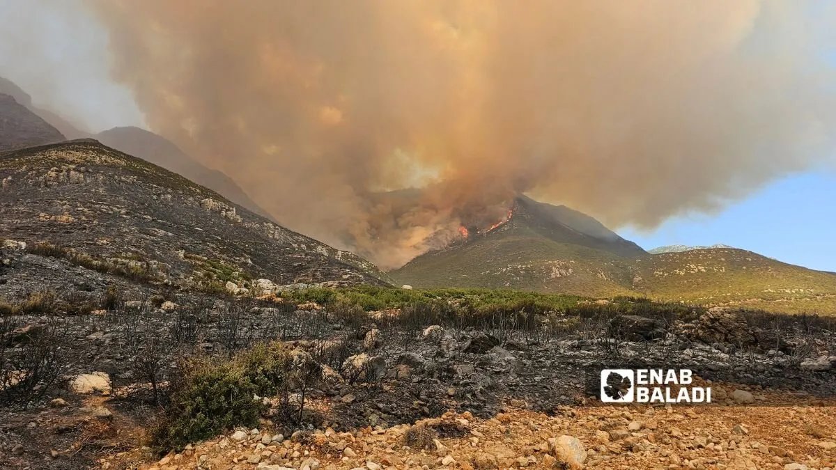 سوريا: فرق الإطفاء تكافح حرائق حماة واللاذقية لليوم السادس وسط تدهور الأوضاع