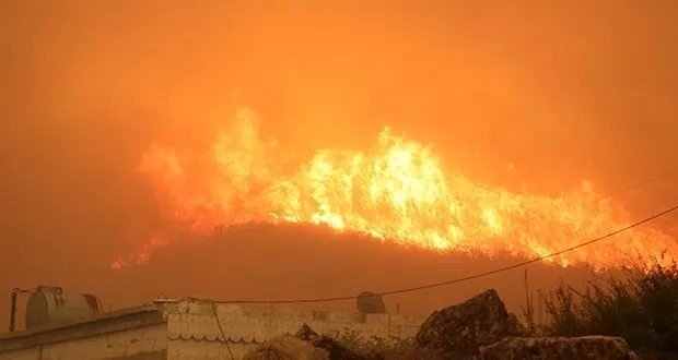 حرائق الغاب تتسع وتصل إلى المنازل في شطحة وسط جهود مكثفة للإطفاء