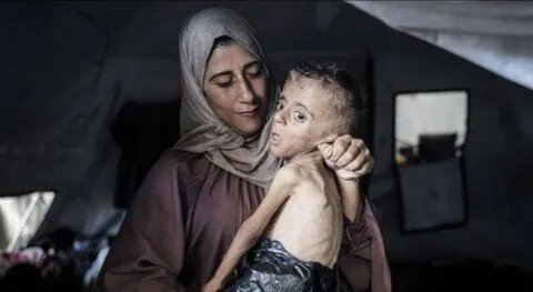 تصاعد المجازر في غزة: الجيش الإسرائيلي ينسف منازل ويقصف بعنف في اليوم الـ 679 للحرب