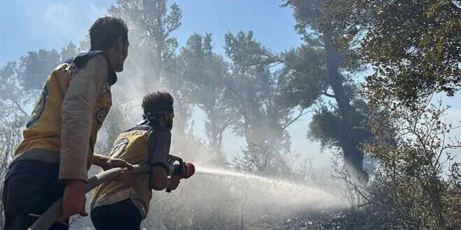 جهود مكثفة لاحتواء حرائق الغابات في اللاذقية وحماة وسط تحديات مناخية وتضاريس وعرة