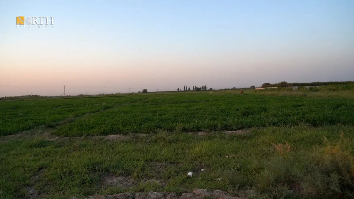 أزمة مياه الري تهدد محاصيل المزارعين في الرقة وتثير مخاوف من تفاقم الوضع