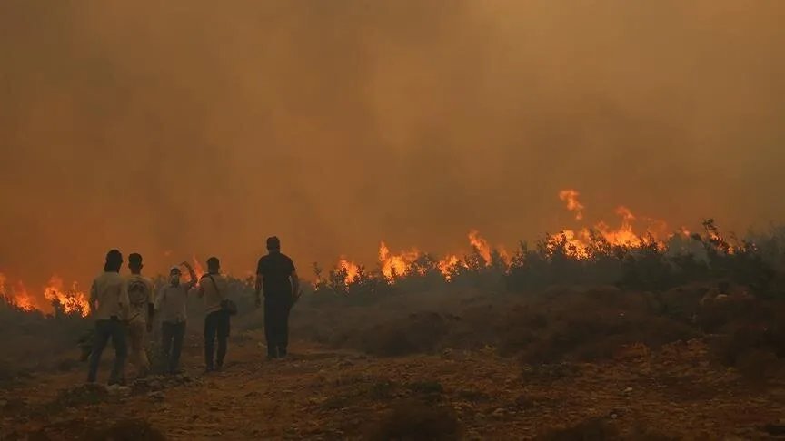 الفرق السورية تكافح حرائق الغابات المستمرة في ريفي اللاذقية وحماة بسبب ارتفاع درجات الحرارة