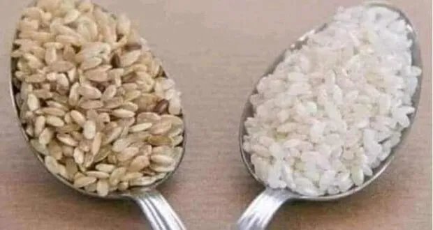 البرغل مقابل الأرز: مقارنة غذائية صادمة تكشف الفارق الهائل في الفوائد