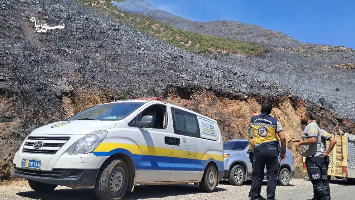 حرائق الغاب وريف اللاذقية تحت السيطرة الحذرة: جهود مكثفة لمواجهة النيران