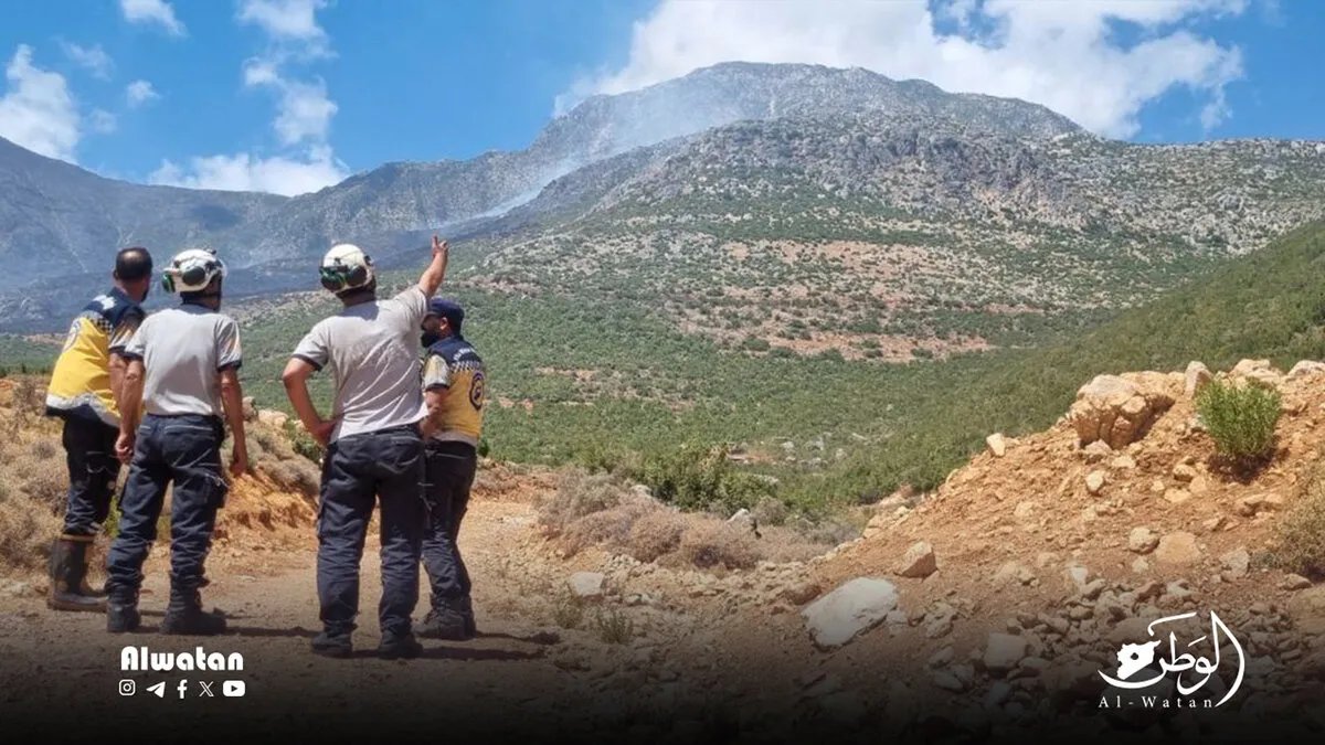 الدفاع المدني ينجح في وقف زحف الحرائق في اللاذقية وحماة مع استمرار جهود الإخماد