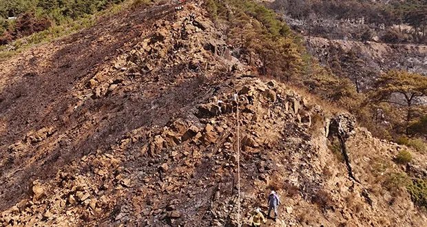 السيطرة مستمرة: فرق الإطفاء تكافح آخر بؤر الحرائق في ريف اللاذقية الشمالي