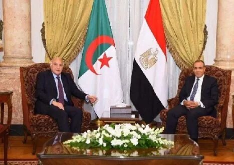 مصر والجزائر تتفقان على ضرورة الوقف الفوري لإطلاق النار في غزة ورفض التوسع الإسرائيلي