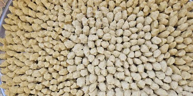 الكشك السوري: وصفة شعبية عريقة تجمع الدفء والتقاليد في الشتاء السوري