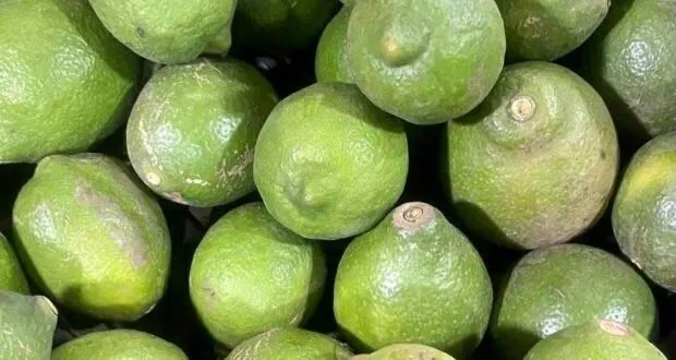 قشر الليمون: فوائد صحية مذهلة تفوق العصير بعشرة أضعاف!