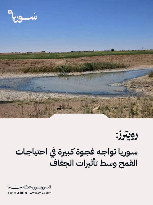 الجفاف يفاقم أزمة القمح في سوريا: فجوة كبيرة في الاحتياجات