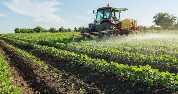 الجفاف يضرب الزراعة السورية: تراجع الإنتاج ومخاوف على الأمن الغذائي