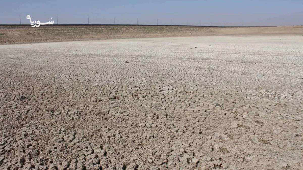 من جنة خضراء إلى صحراء قاحلة: قصة سد الجوادية في الحسكة وتحوله المأساوي