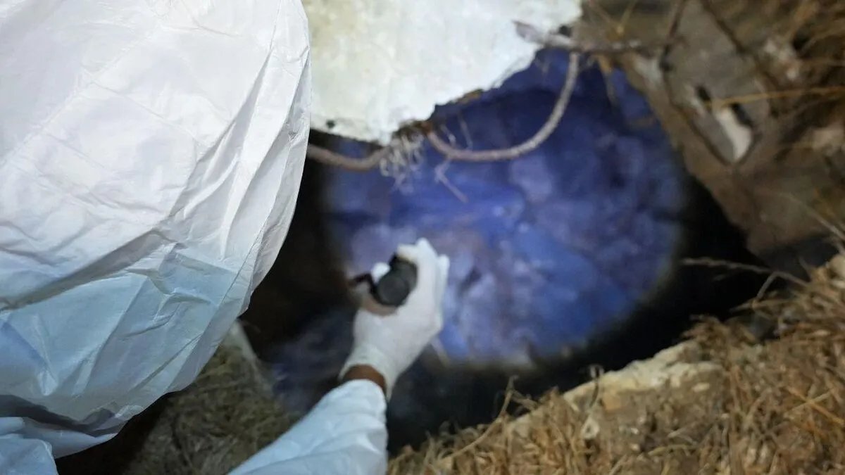 اللاذقية: الكشف عن مقبرة جماعية في مزرعة تابعة لطيار سابق في نظام الأسد