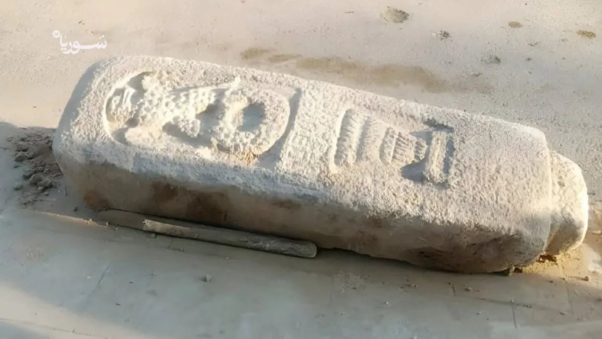 منبج تكتشف تمثالاً أثرياً لنسر يعود للعصر الروماني بالقرب من سوق الهال