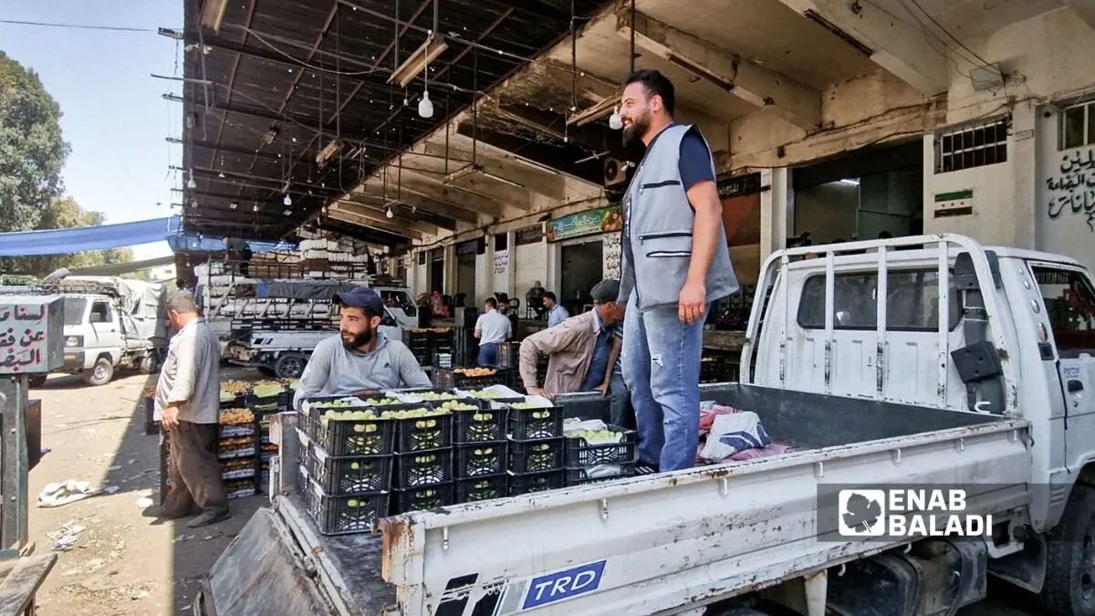 ارتفاع جنوني في أسعار الخضراوات بدمشق: ما الأسباب وتأثيرها على معيشة السكان؟