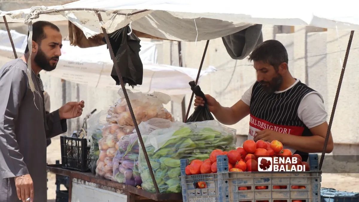 انخفاض كبير في أسعار الخضراوات برأس العين وتل أبيض مع ذروة الإنتاج الصيفي