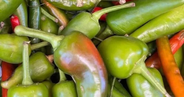 اكتشافات حديثة: الفلفل الحار وفوائده الصحية والطبية المذهلة