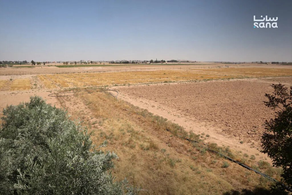 خبراء يؤكدون: الاستثمار الزراعي في سوريا.. دعامة للاقتصاد ومفتاح للتنمية المستدامة